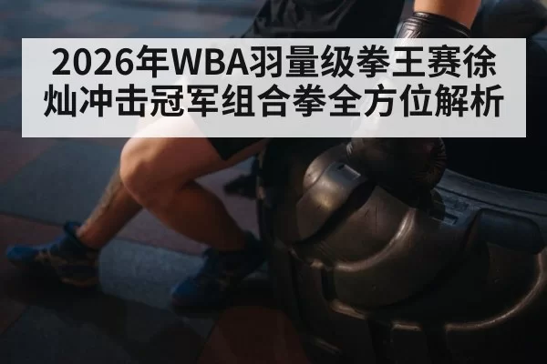 2026年WBA羽量级拳王赛徐灿冲击冠军组合拳全方位解析